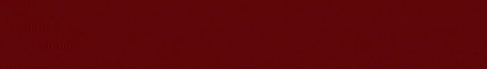 logo INDO39 Mobile