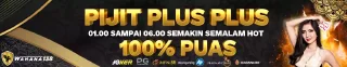 PIJIT PLUS PLUS 100%