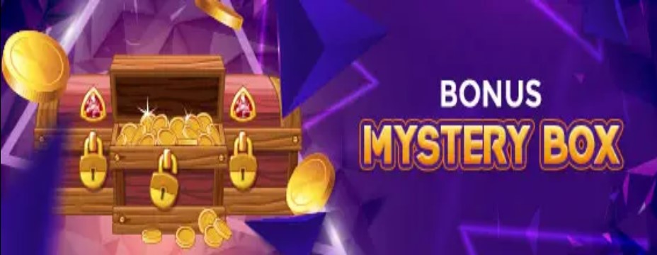Mystery BOX